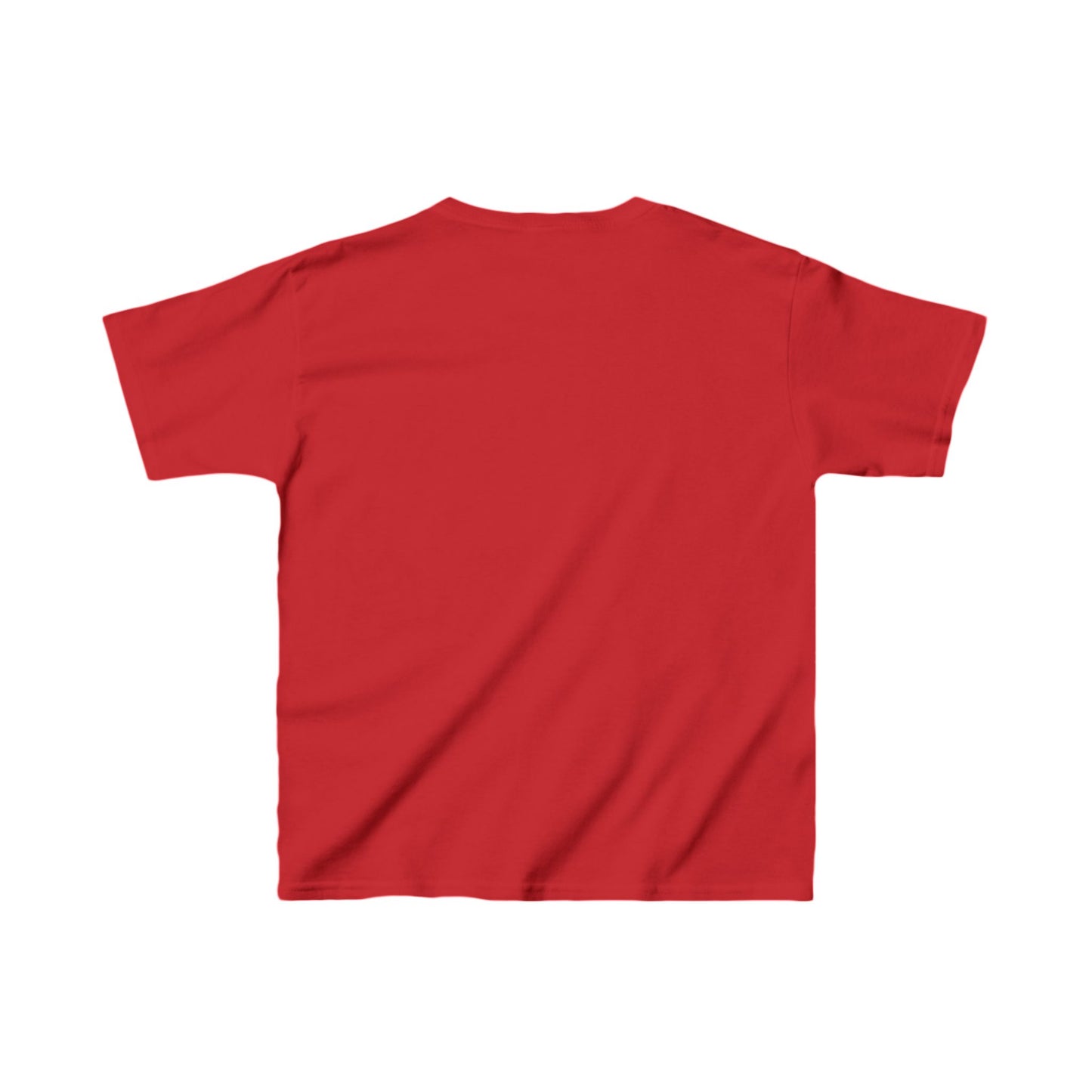 Kids' Holiday Tee - Dear Santa, I Tried