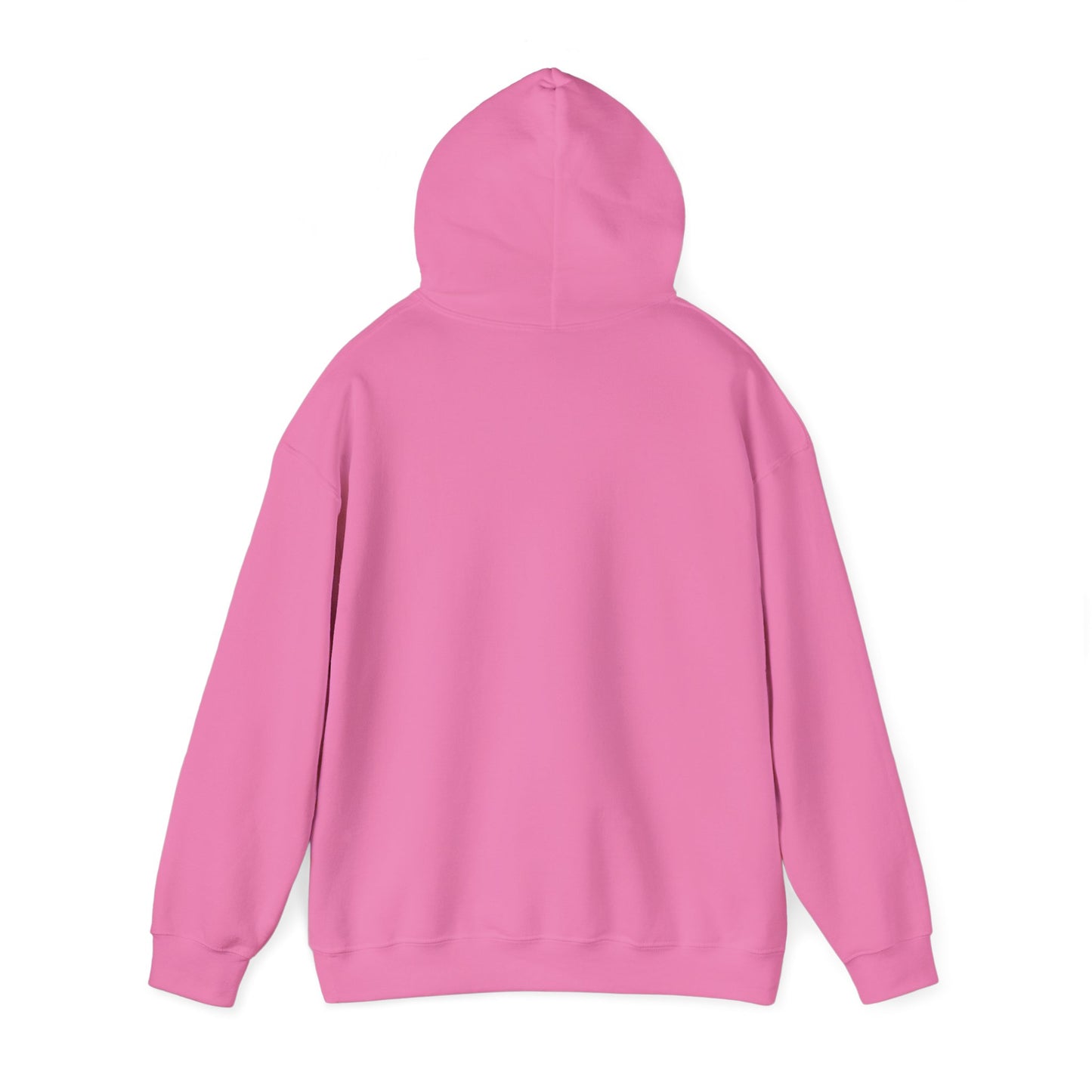 Funny Santa’s List Attempts Hoodie