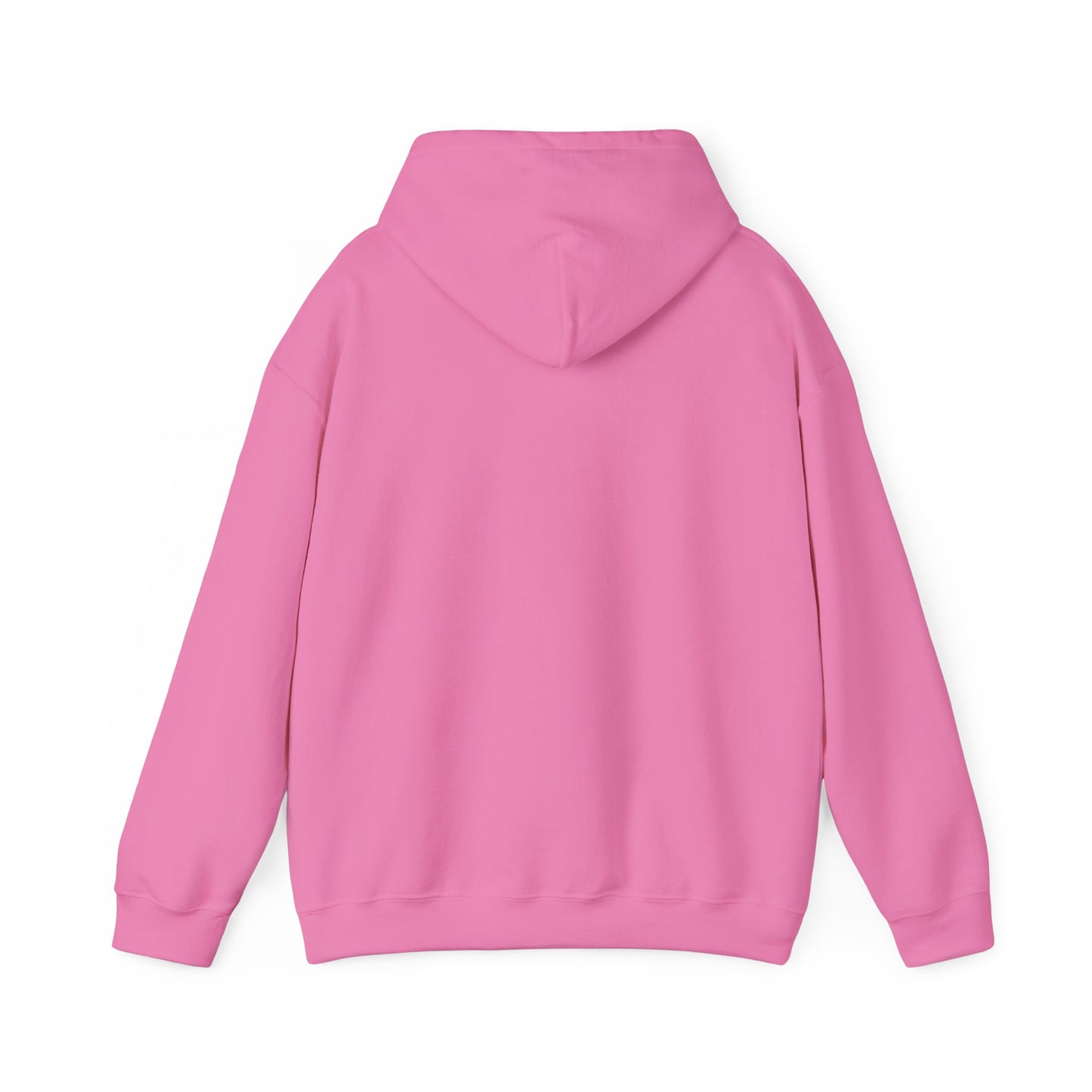 Funny Santa’s List Attempts Hoodie