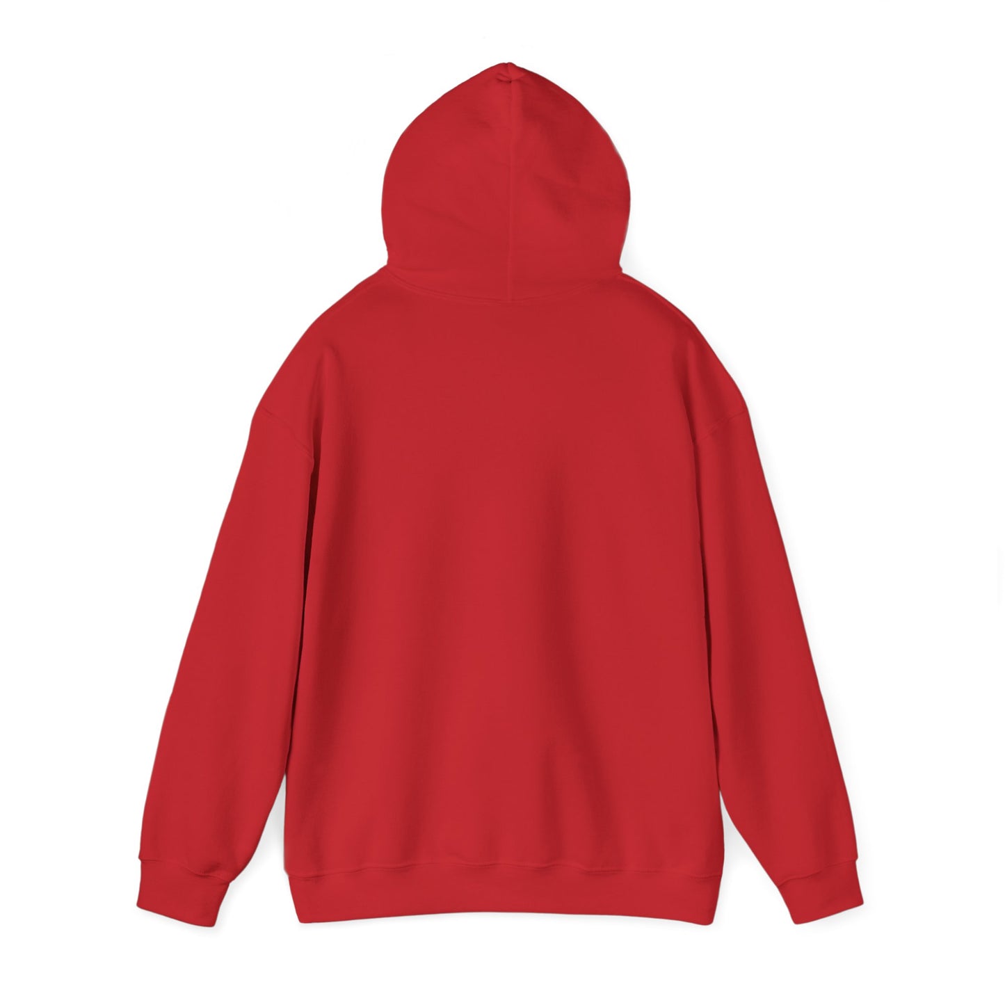 Funny Santa’s List Attempts Hoodie