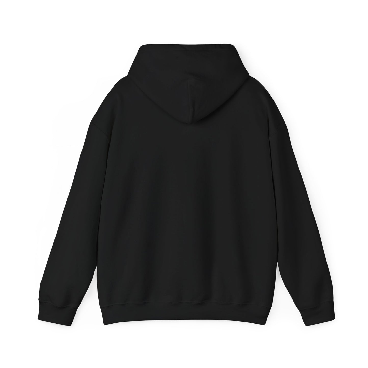 Funny Santa’s List Attempts Hoodie