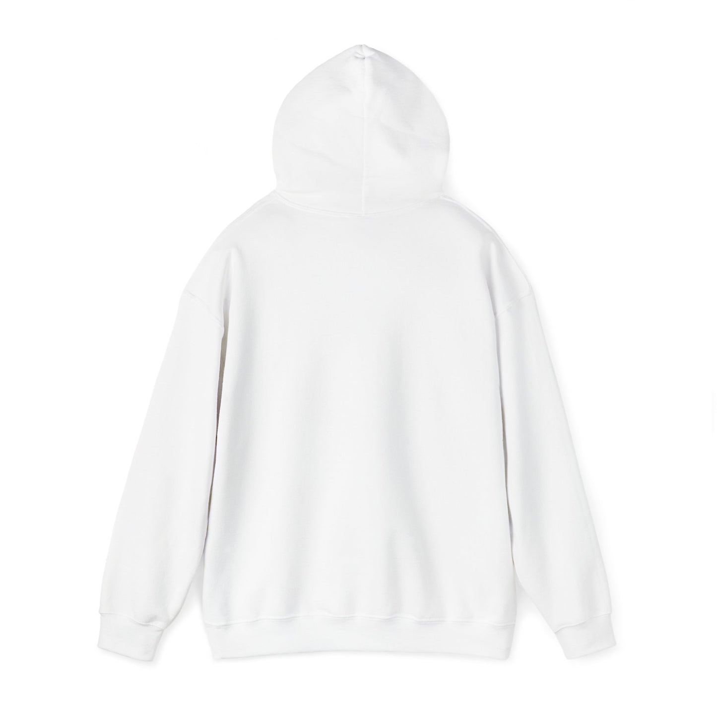 Funny Santa’s List Attempts Hoodie