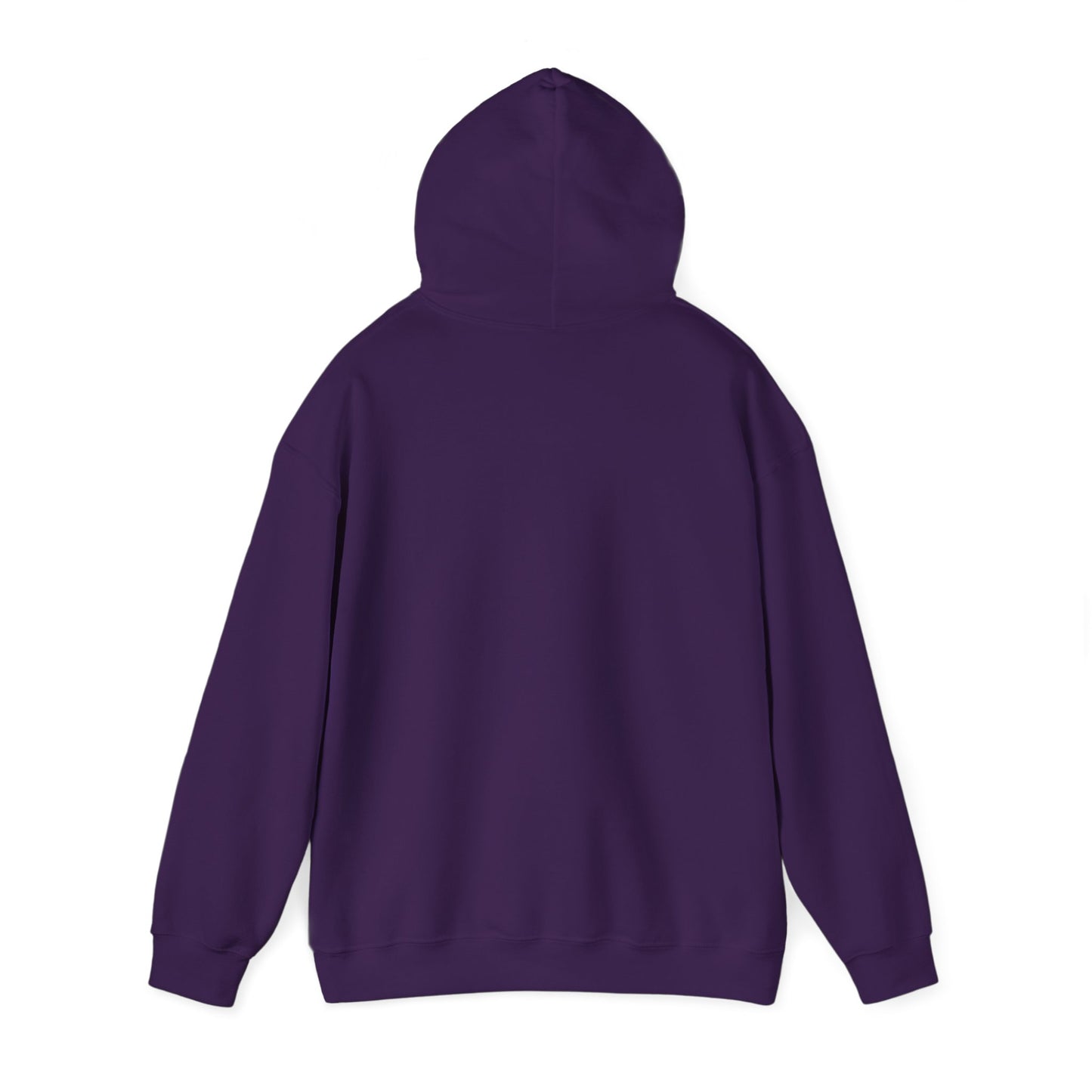 Funny Santa’s List Attempts Hoodie