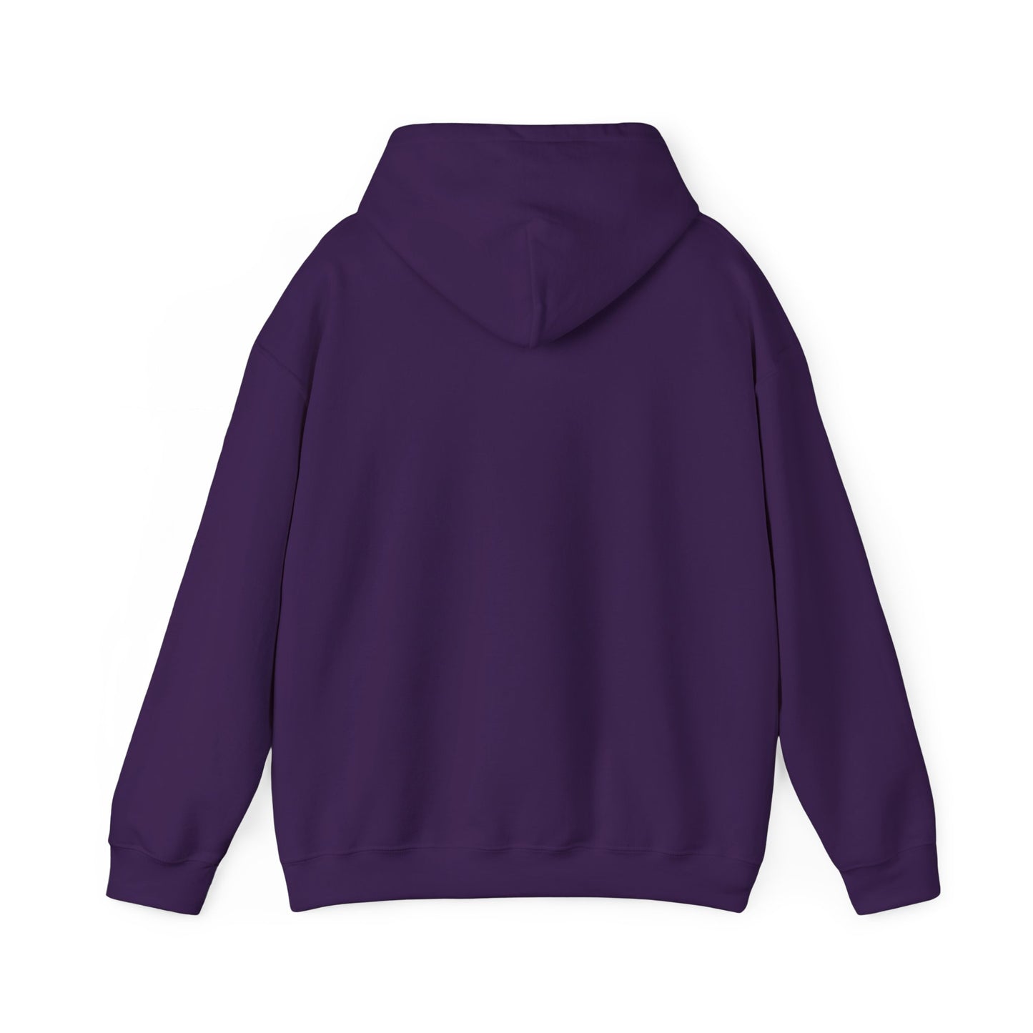 Funny Santa’s List Attempts Hoodie