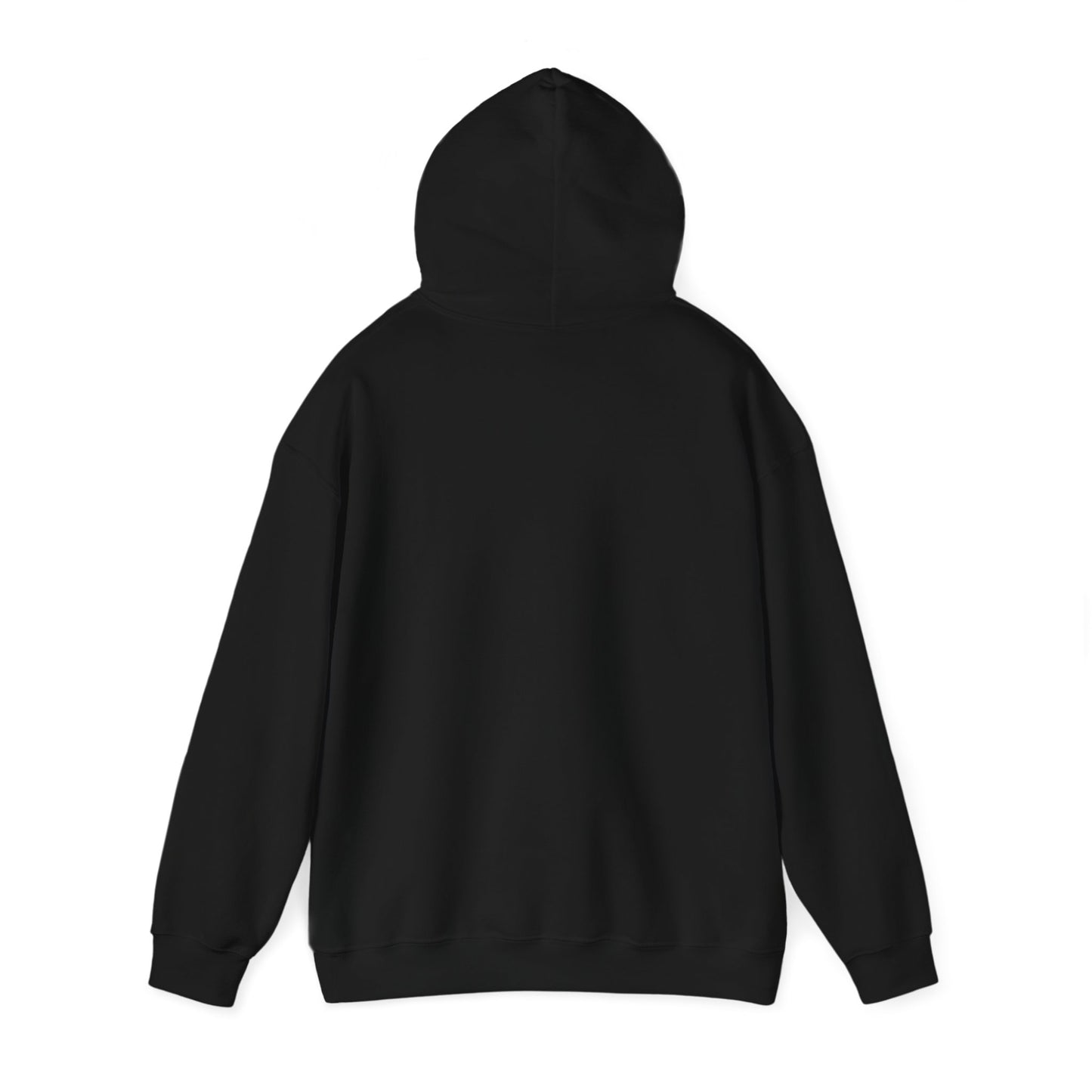 Funny Santa’s List Attempts Hoodie